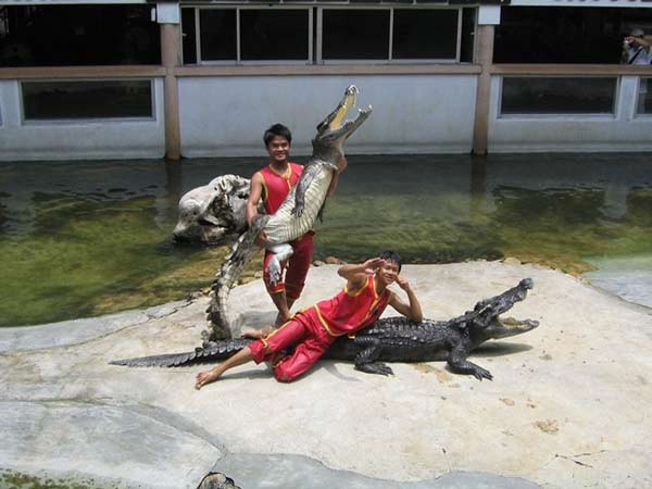 Timsahlarla iç içe yaşam - Resim: 3