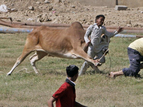 Saldırı anı saniye saniye görüntülendi - Resim: 1