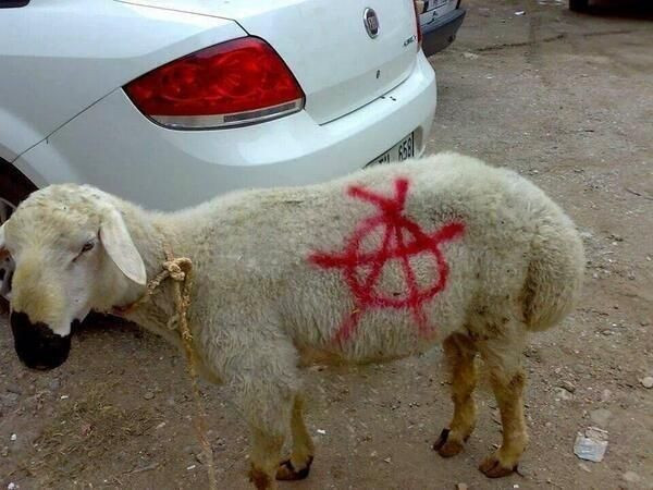 Yurttan kurban manzaraları - Resim: 1