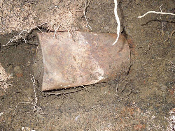 Köpek gezdirirken 10 milyon dolarlık define buldular! - Resim: 1