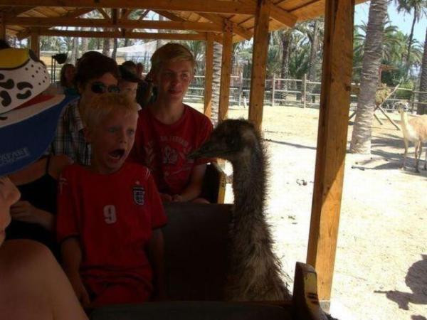 İnternette en çok bakılan fotoğraflar - Resim: 2