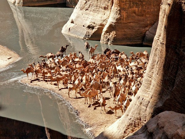 Çölün ortasında mucize! Burada su hiç bitmiyor - Resim: 3