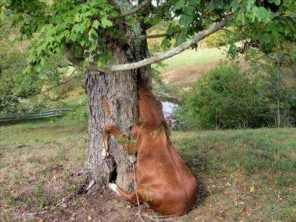 Günün en eğlenceli fotoğrafları - Resim: 2