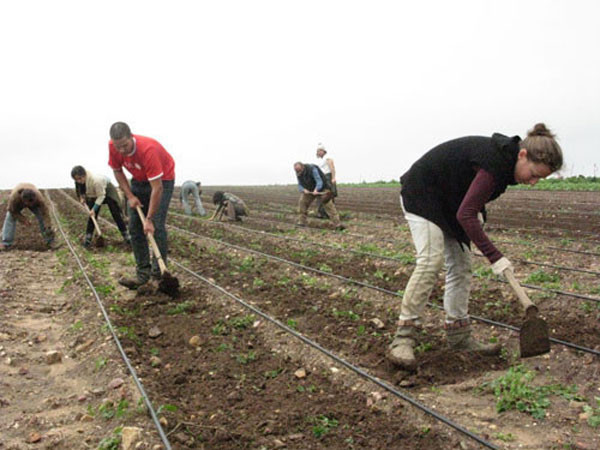Endülüs'te sıradışı köy - Resim: 4