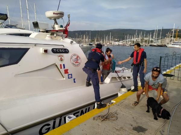 Muğla'da hayvanların saldırdığı 5 kişi kurtarıldı - Resim: 3