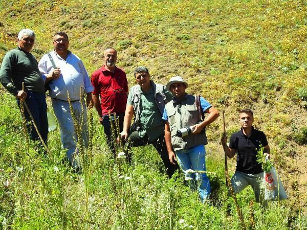Giresun'da sıradışı endemik bitti! 150 yıl sonra ortaya çıkan kan damlası - Resim: 1