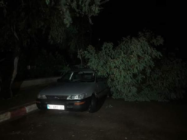 Kuzey Ege sahillerini fırtına vurdu hayat felç oldu - Resim: 2