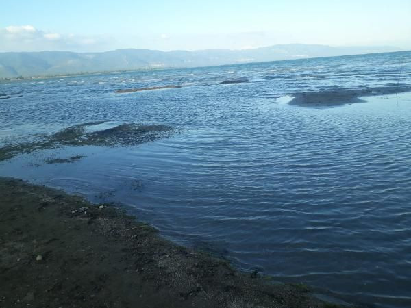 İznik gölünde adalar oluştu yaz sonu gelince hep bu oluyor - Resim: 1