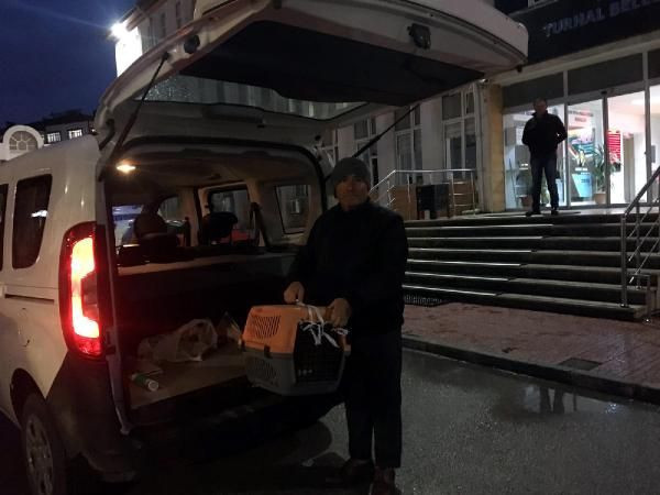 Klinikte tedavi gören Fındık, kurtarılamadı - Resim: 2