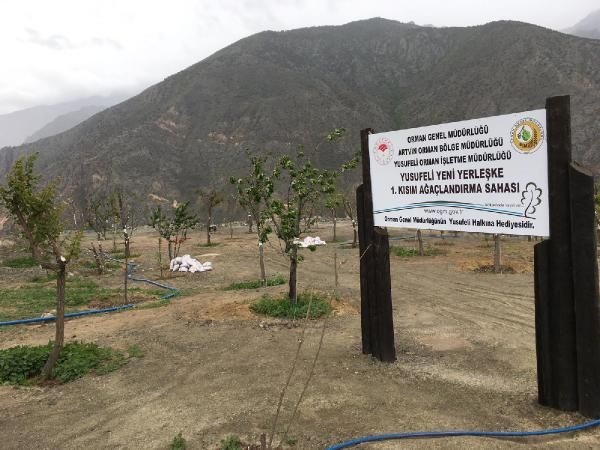 Yusufeli ilçe merkezi 7. kez taşınıyor! Ağaçlar sökülmeye başlandı - Resim: 3