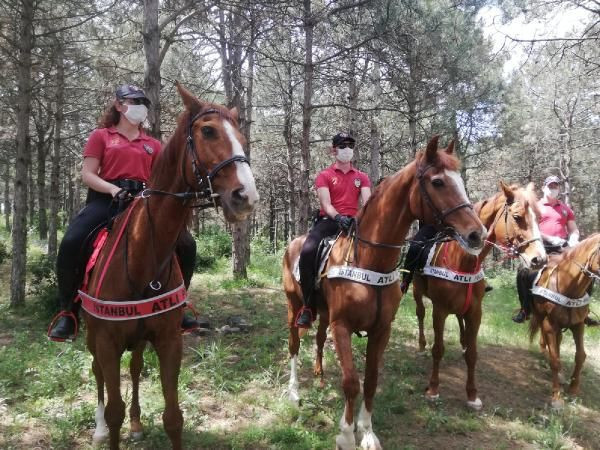 İstanbul'un ormanlarını korumak için "Doğa devriyesi" başladı! Ağır silahla donatıldılar - Resim: 1