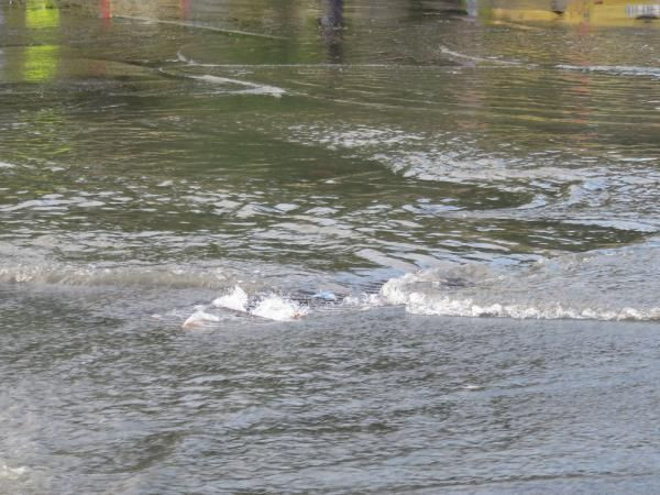 Kısa süreli sağanak Üsküdar'ı göle döndürdü! - Resim: 1