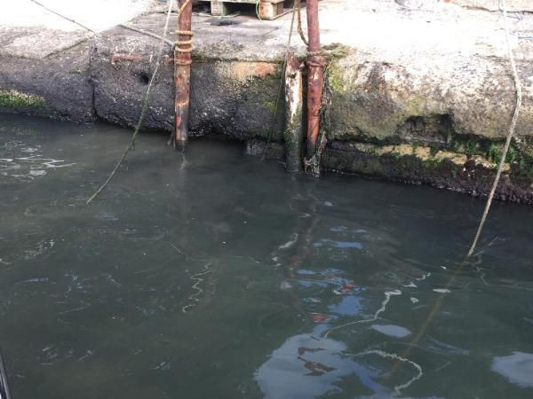 Korkunç iddia! 'İstanbul Boğazı'na kanalizasyon atığı bırakılıyor' - Resim: 4