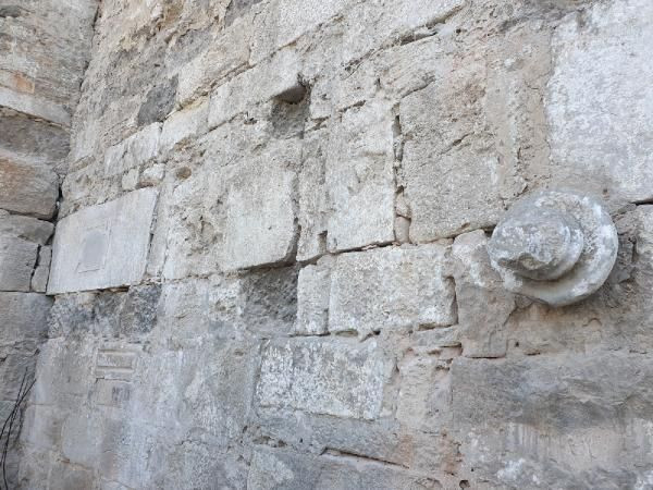 Sinop'ta cezaevinde bulundu! Görünce şaşkına döndüler - Resim: 1