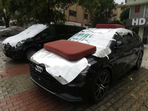 Kadıköy'de galericilerden kilimli, paspaslı dolu önlemi - Resim: 2