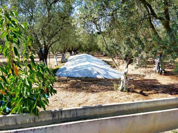 Hemen üstü kapatıldı Bursa'da heyecanlandıran tarihi keşif - Resim: 3