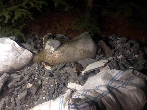 Karısının internetten tanışıp görüştüğünü düşündüğü kişiyi öldürüp, cesedini ormana gömdü - Resim: 2