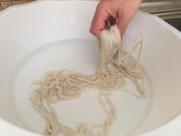 Kocaeli'de 5 yıl araştırdı bağırsaktan yapıyor Avrupa'dan talep yağıyor - Resim: 3