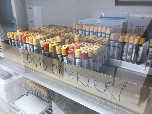 ‘Karadeniz mutasyonu' için bilimsel araştırma başlatıldı! 5 il mercek altında - Resim: 1