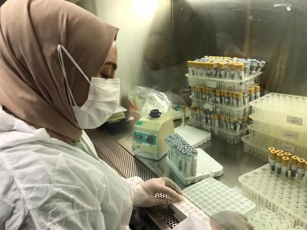 ‘Karadeniz mutasyonu' için bilimsel araştırma başlatıldı! 5 il mercek altında - Resim: 2