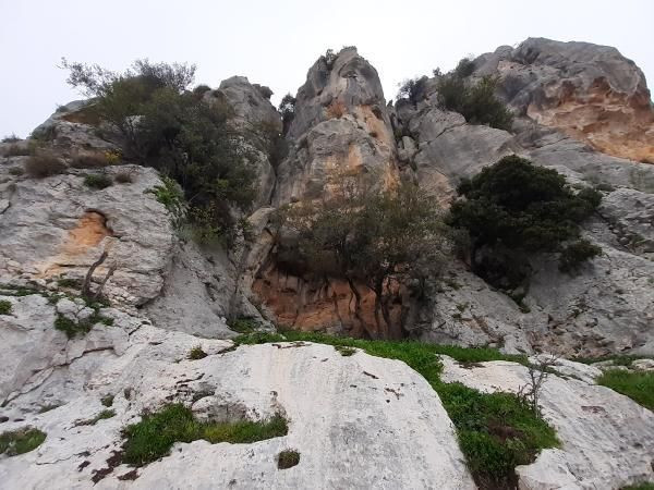 Mersin'den heyecanlandıran keşif! Görenler hayrete düştü: Uçan yaratıklar bunlar - Resim: 3