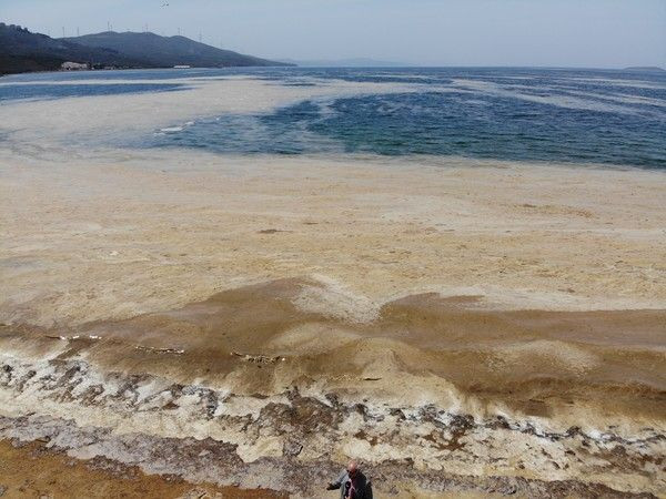 Balıkesir'de denizin dibi zindana döndü korkutucu hale geldi! Zamanımız kalmadı - Resim: 2