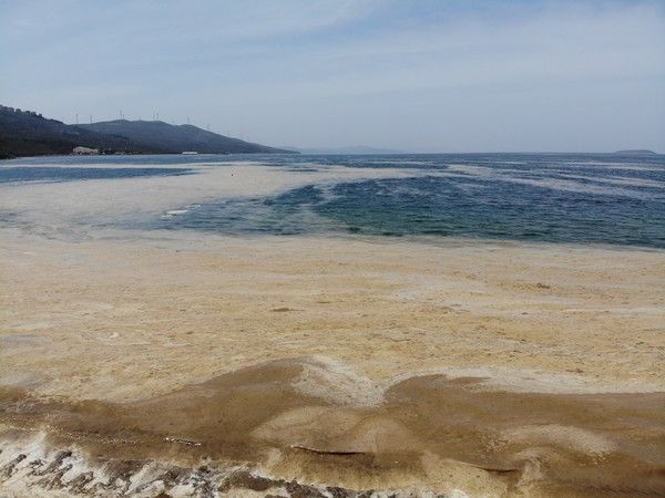 Balıkesir'de denizin dibi zindana döndü korkutucu hale geldi! Zamanımız kalmadı - Resim: 3