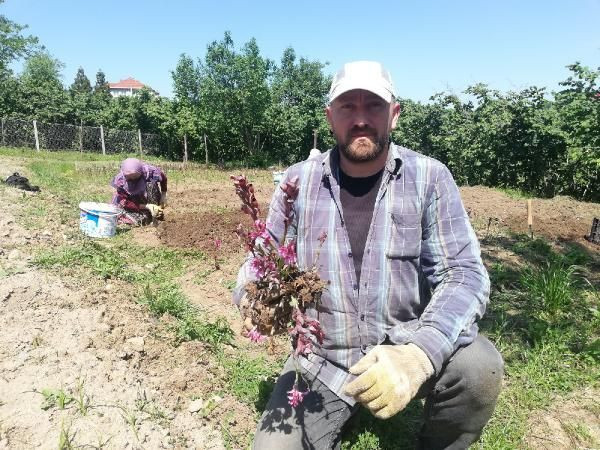 Ordu'da ek gelir için araştırıp üretti! Yurt dışından sipariş yağıyor - Resim: 3