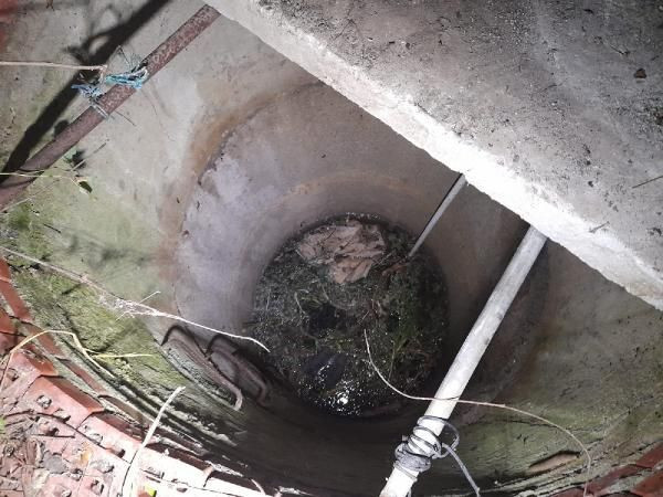 İstanbul'da vahşet! İş arkadaşını önce boğdu, sonra araçla götürdüğü arazideki kuyuya attı - Resim: 4