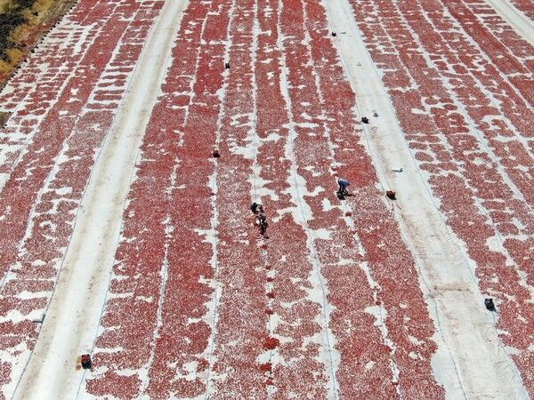 Diyarbakır'da çöpe gidiyordu şimdi İtalya Almanya Fransa ABD'ye satılıyor - Resim: 4