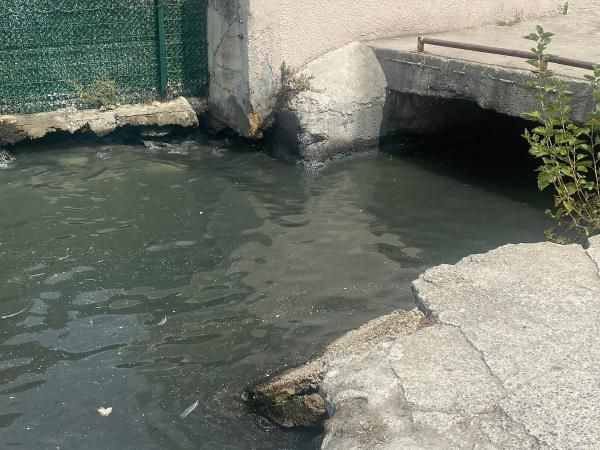 Yer: İstanbul! Gelen 5 dakika dayanabiliyor: Vantilatörü gören pes dedi - Resim: 2