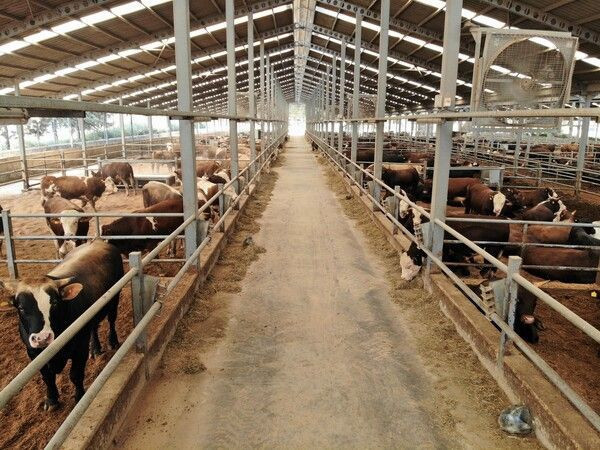 Bir talaşla yaptı üretimi dörde katladı! Kırklareli'de bölgenin en büyüğü oldu - Resim: 1