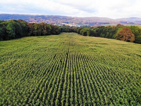 Bir talaşla yaptı üretimi dörde katladı! Kırklareli'de bölgenin en büyüğü oldu - Resim: 4