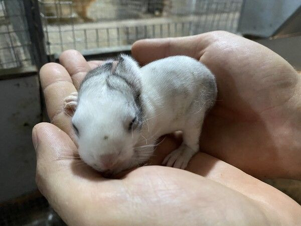 Antalya'da emekli polis hobi olarak başladı üretim tesisi oldu: Siparişlere yetişemiyor - Resim: 2