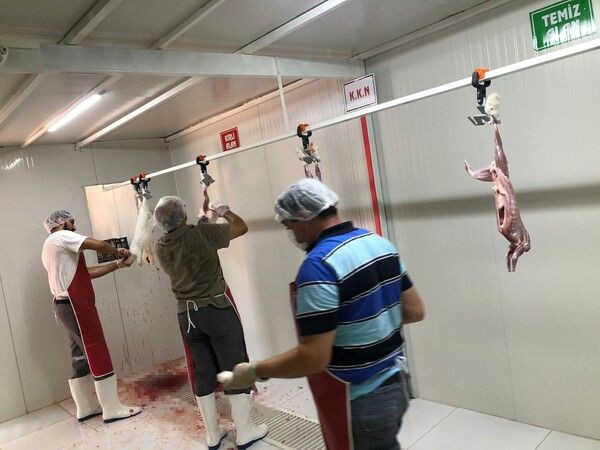 Antalya'da emekli polis hobi olarak başladı üretim tesisi oldu: Siparişlere yetişemiyor - Resim: 3