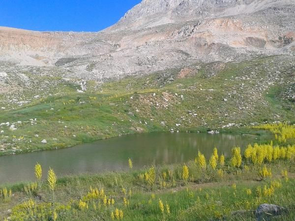 Antalya'da gölün son hali görenleri korkuttu! Tehlike çanları çalıyor: İlk kez... - Resim: 2