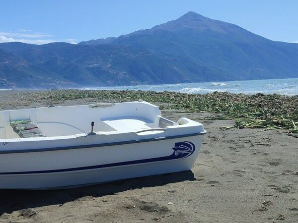 Hatay'da ilginç görüntüler! Sahili istila etti!: Yürünemeyecek halde - Resim: 4