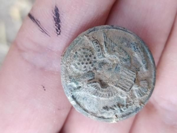 Diyarbakır'da kazılarda gizemli ABD rozeti çıktı! Üzerindeki yazı şaşırttı: Sırrı çözülemedi - Resim: 3