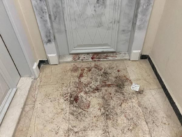 İstanbul'da korkunç olay! Sesi duyan koştu kan izlerini gören şok oldu: Daireye girince... - Resim: 1