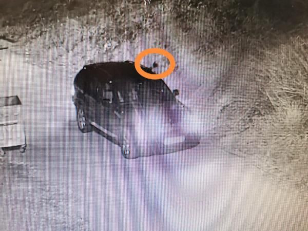 Avcılarda öldürülen otelci çift  Esra - Nuri Yıldız'ın katilleri kameraya yakalandı! İşte son görüntüleri - Resim: 3