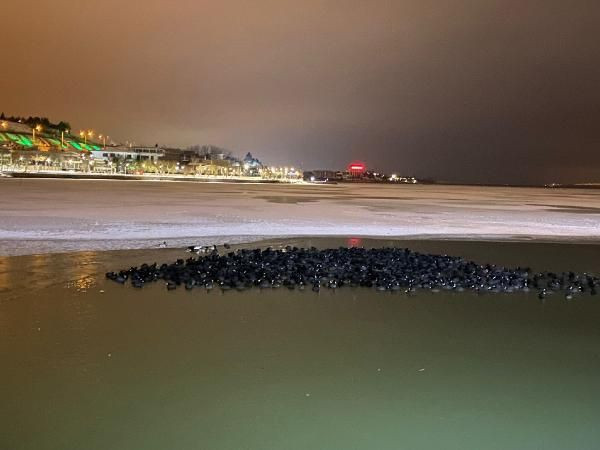 Ankara dondu kaldı! Kuğulu Park'ın fıskiyelerinden 4 metrelik buzullar oluştu - Resim: 2