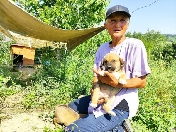 Bursa'da bunu yapan insan olamaz: Günlerdir acılar içinde kıvranıyor - Resim: 0