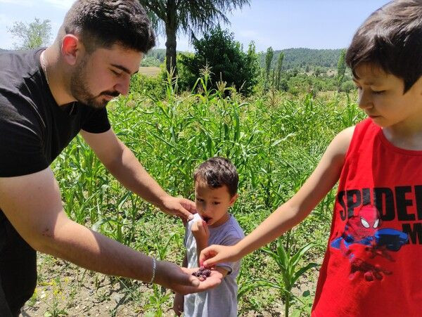 Bursa'da tabelayı görenler şaşkına döndü! Yazıyı okuyanlar soluğu tarlada aldı - Resim: 1