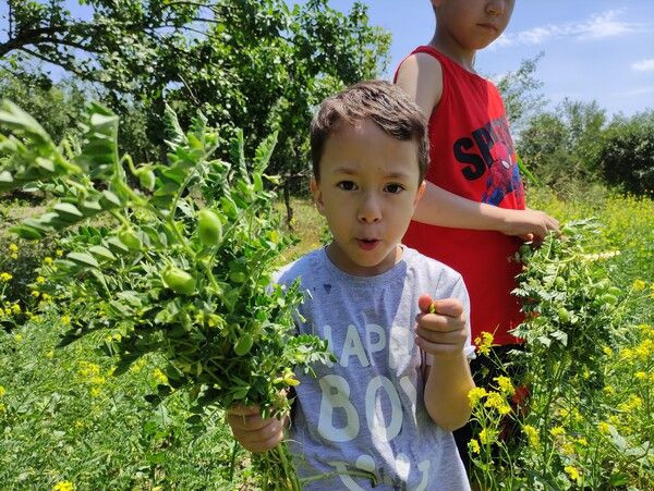 Bursa'da tabelayı görenler şaşkına döndü! Yazıyı okuyanlar soluğu tarlada aldı - Resim: 3