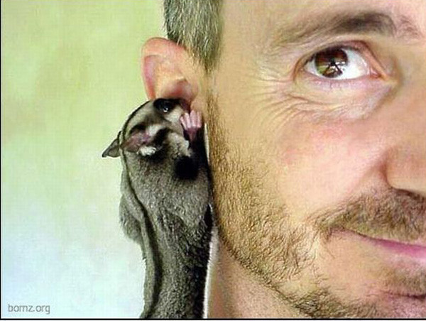 İşte günün en ilginç kareleri - Resim: 3