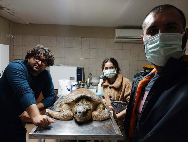 Antalya'da bunu yapan insan olamaz! Dehşete düşüren görüntü - Resim: 0