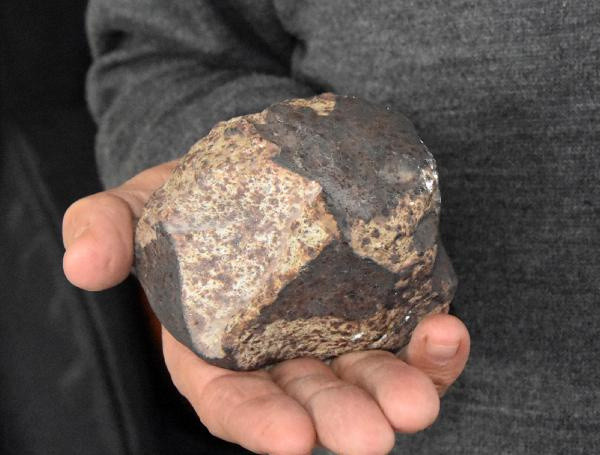 Türkiye'de sayılı var! Antalya'da bahçesinde buldu satışa çıkardı - Resim: 1