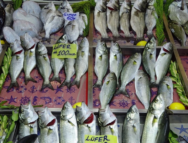 Tezgahta bolluk yaşandı denizin prensi ucuzladı! Bu balıklar müsilajın... - Resim: 0