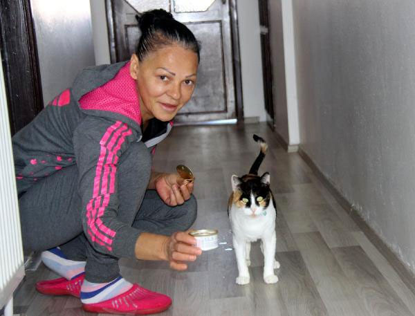 Kedileri yüzünden genelevden kovuldu! Şimdi de rahat yok... - Resim: 4