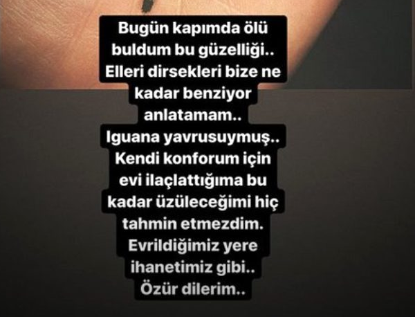 Birce Akalay pişman olup özür diledi! Kapısının önünde ölü halde buldu - Resim: 3
